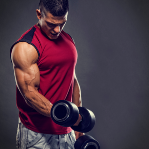 Muscle Building
